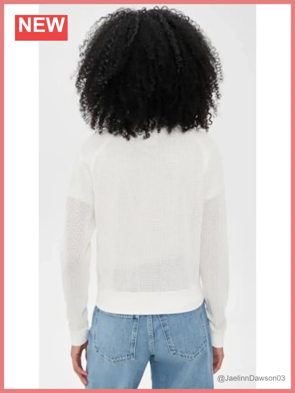 Pointelle Bomber Cardigan Zip-Up Long Sleeve Aviator